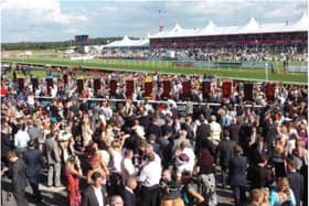 The new study says people indulge in sex romps at Doncaster less than any other racecourse.