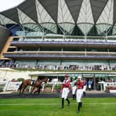 Ascot Racecourse. Photo by Alan Crowhurst/Getty Images