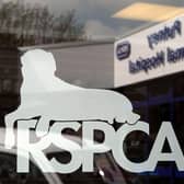 There were 551 calls over deliberate cruelty in 2019