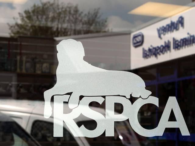 There were 551 calls over deliberate cruelty in 2019