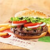 Burger King was one of the places inspected