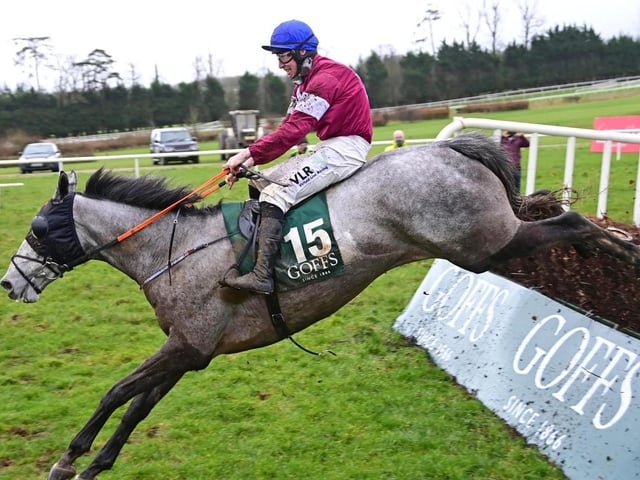 Only three greys have landed the National in its long history, but Gordon Elliott's 9yo is back for his third attempt after finishing a distant eighth in 2022 and being pulled up last year, appearing not to stay the 4m 2f trip on each occasion. But he's in the form of his life this season and ran well over these Aintree fences in a big race in December.