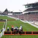 The iconic scene at Cheltenham as packed stands prepare to cheer on the runners in the opening race of the festival. (PHOTO BY: Adrian Dennis/Getty Images)