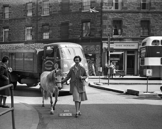 Janet Walker and Balfour - a pony from Redford Barracks that moved to St Cuthbert's Stable - enjoying a lunch hour walk in Tollcross in May 1963.