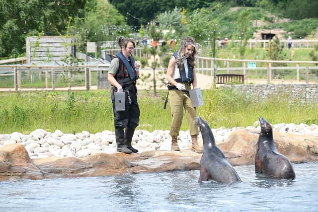 TV Presenter Helen Skelton enjoys feeding the Californian sea lions at the Point Lobos enclosure