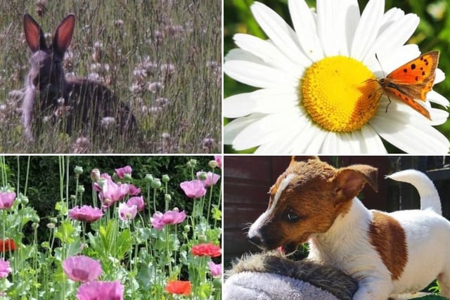 Some great photos from Doncaster people.