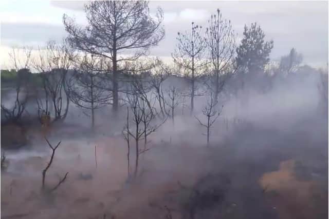 Fire has destroyed a large swathe of Hatfield Moors. (Photo: Col Neale/Twitter).