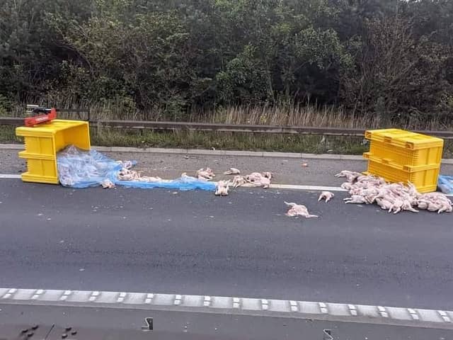 A lorryload of dead chickens has spilled onto the M62 north of Doncaster.