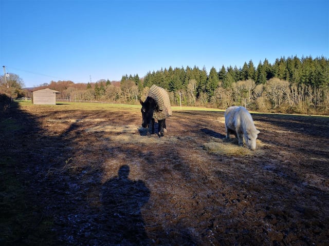 Paddocks.