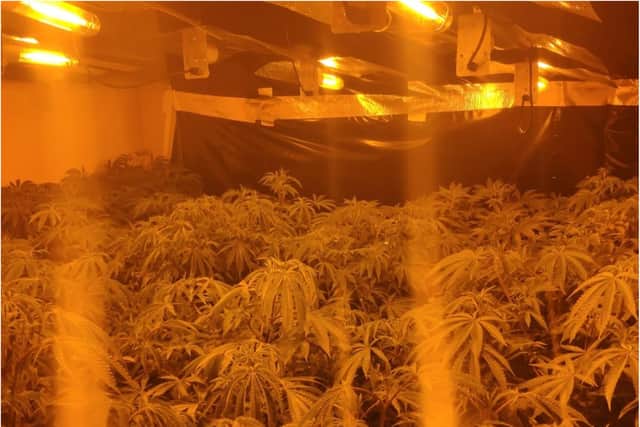 Police discovered the huge drugs factory in Warmsworth.