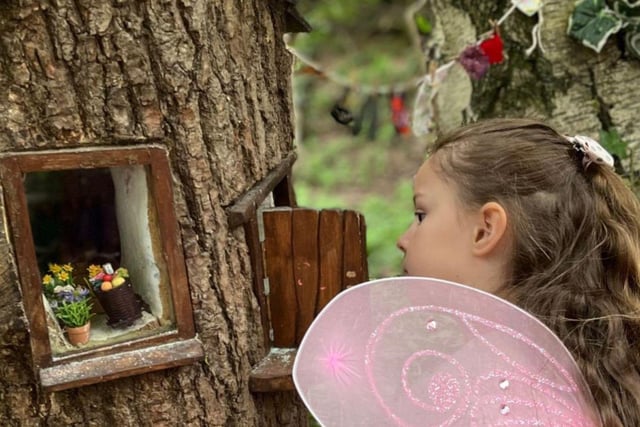 Discover tiny fairy folk houses in the Enchanted Fairy Forest