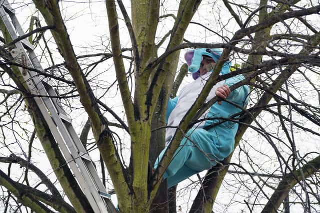 Tree protest in middlefield Road in Doncaster. Picture Scott Merrylees