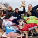 Di Rodgers and Abby Chandler from Lakeside Village with Heather and Robyn from the Doncaster RSPCA centre with dogs Roxy, an akita, and Angel, a lurcher