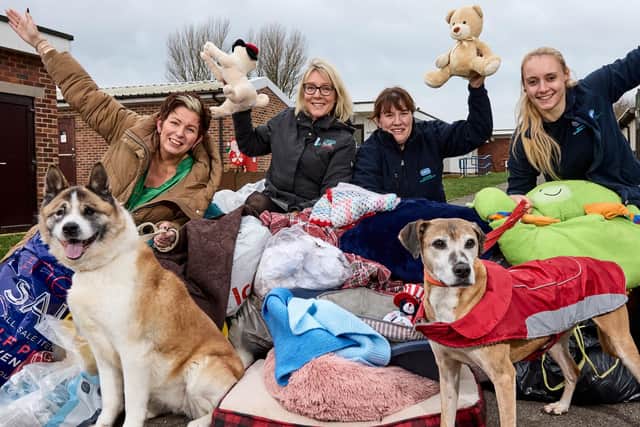 Di Rodgers and Abby Chandler from Lakeside Village with Heather and Robyn from the Doncaster RSPCA centre with dogs Roxy, an akita, and Angel, a lurcher