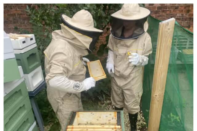 Visitors will be able to learn all about bees at the Walled Garden.