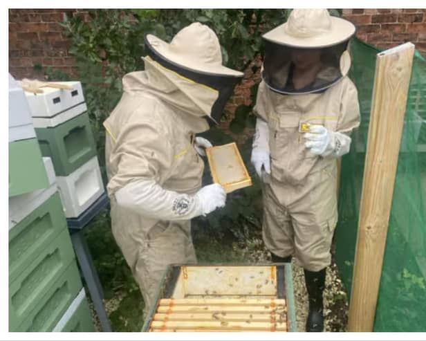 Visitors will be able to learn all about bees at the Walled Garden.