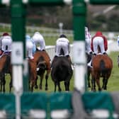 Photo by Alan Crowhurst/Getty Images