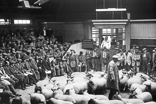 Hawick Auction Mart, with auctioneer Kenny Oliver in the ring, 1958.