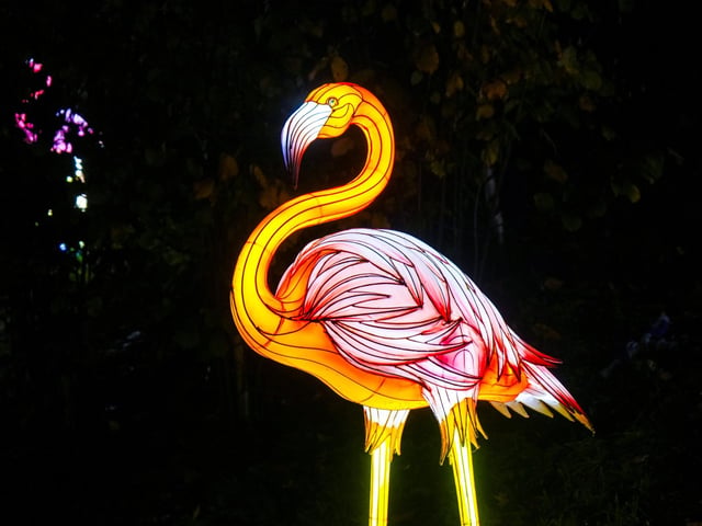 Yorkshire Wildlife Park winter illuminations 2025
