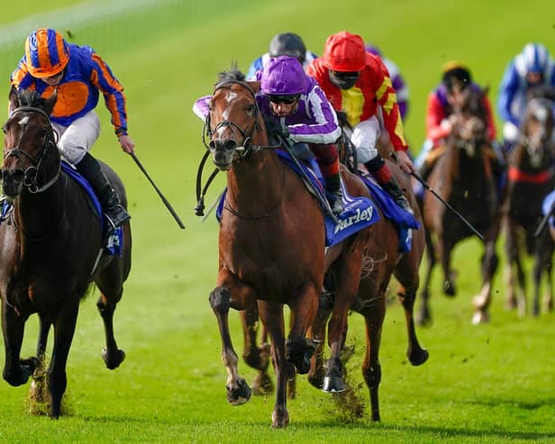 Thunder Blue (red and yellow colours) finishes third to the Aidan O'Brien duo, St Mark's Basilica (centre) and Wembley, in last season's Dewhurst Stakes at Newmarket. Can Joseph O'Brien's colt gain his revenge on Saturday? (PHOTO BY: Alan Crowhurst/Getty Images).