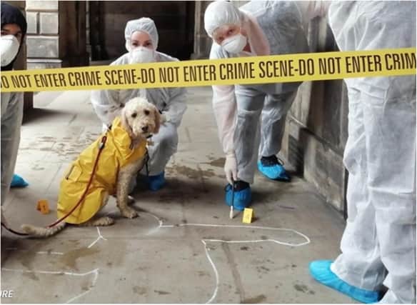 Doncaster will become a huge crime scene for the murder mystery game.
