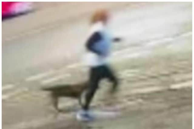 CCTV captured a jogger and dog Mrs Fiedor says was responsible for the attack.