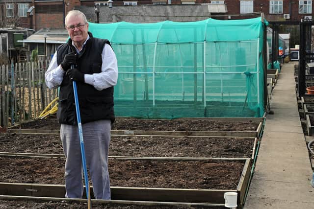 Bob Peace, pictured on his Allotment. NDFP-09-03-21-StrawberryIsland 5-NMSY