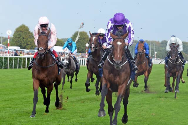 Ryan Moore, on Kew Gardens pictured crossing the finish line to take first place in the 2018 William Hill St Leger at Doncaster Racecourse. Picture: Marie Caley NDFP-15-09-18-Leger-1