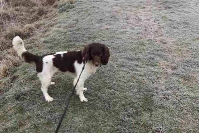 Joanne can walk up to 20,000 steps a day.