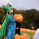 The Pumpkin Patch at Stockeld Park
