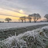 This is a beautiful photograph of a Sunday morning dog walk in Hatfield Woodhouse last week taken by our newest contributor Mick Perkins​​​​​​​​​​​​​​​​​​​​​​​​​​​​​​​​​​​​​​​​​​​​​​​​​​​​​​​​​​​​​​​.
If you would like to share your photos with us then please email editorial@doncastertoday.co.uk