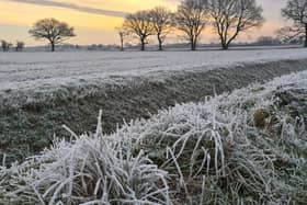 This is a beautiful photograph of a Sunday morning dog walk in Hatfield Woodhouse last week taken by our newest contributor Mick Perkins​​​​​​​​​​​​​​​​​​​​​​​​​​​​​​​​​​​​​​​​​​​​​​​​​​​​​​​​​​​​​​​.
If you would like to share your photos with us then please email editorial@doncastertoday.co.uk