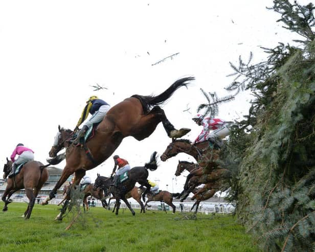 Action from Thursday's meeting at Aintree. Photo: PETER POWELL/POOL/AFP via Getty Images