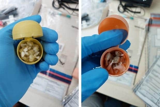 A stop and search by two patrolling officers recovered a quantity of harmful drugs.