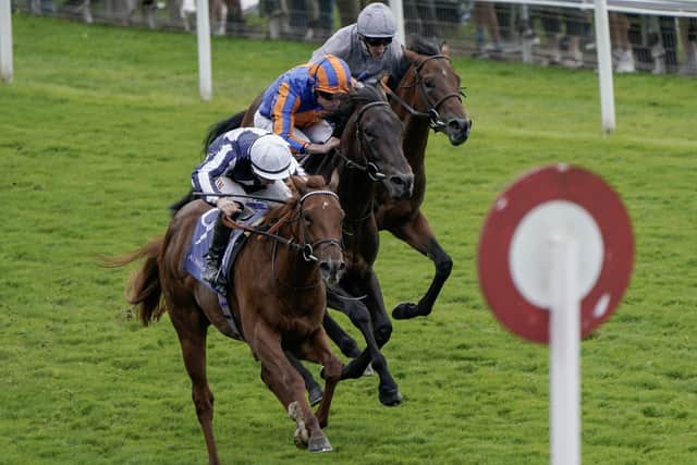 Tom Marquand riding Lake Forest (white cap) win The Al Basti Equiworld Dubai Gimcrack Stakes at York Racecourse on August 25, 2023 in York, England. (Picture: Alan Crowhurst/Getty Images)