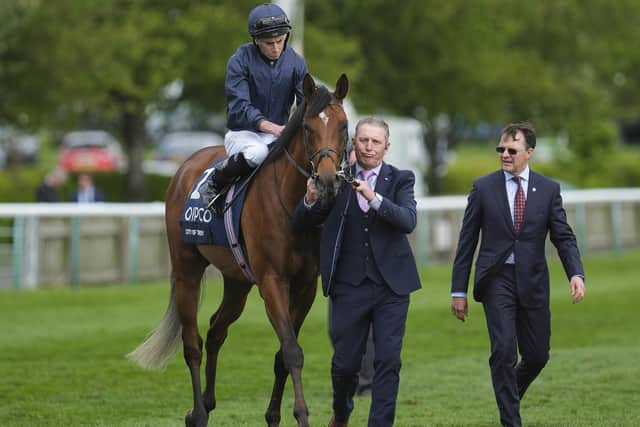 Champion 2yo City Of Troy is Saturday's favourite and aiming to give trainer Aidan O'Brien (right) his tenth Derby success (PHOTO BY: Alan Crowhurst/Getty Images)