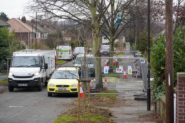 Tree protest in middlefield Road in Doncaster. Picture Scott Merrylees