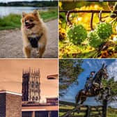 Click through the article to see the best photos we have featured on our Instagram page this week. 
Use the hashtag #doncasterfreepress to show us photos you would like to share with our readers.