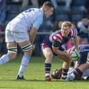 In action: Doncaster Knights' scrum-half Alex Dolly at the base of a scrum in a match against Bedford Blues, two long-standing Championship clubs who are set to be part of the revamped Tier 2 next year. (Picture: Tony Johnson)