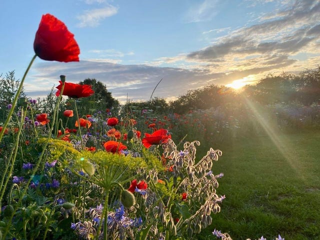 The park is in beautiful bloom.