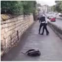Footage shows two people locked in a violent struggle outside Hall Cross Academy.