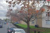 A man suffered life-changing injuries in an alleged dangerous dog attack in Wroxham Way in Cusworth.