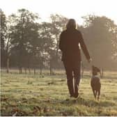 Doncaster's Cusworth Hall is among Yorkshire's most dog friendly places.