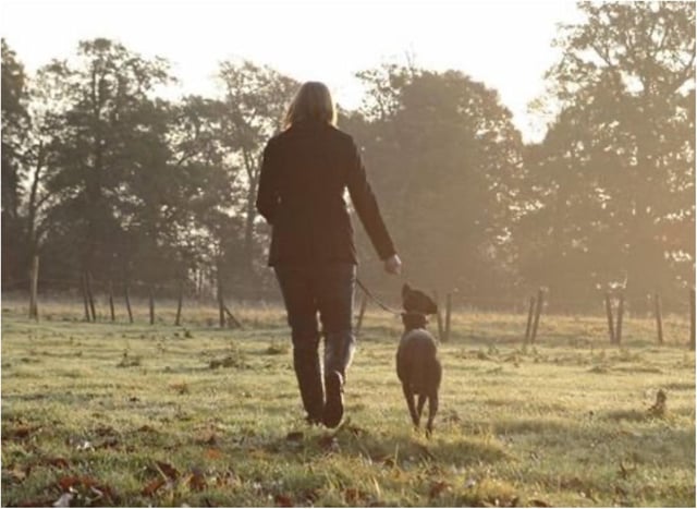 Doncaster's Cusworth Hall is among Yorkshire's most dog friendly places.