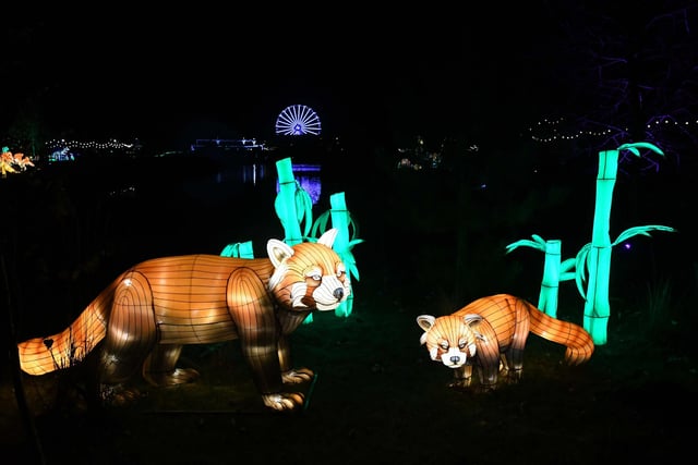 There's plenty of cute creatures on the light and lantern trail.
