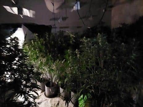 There were plants on every floor