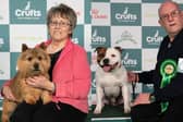 Crufts winners from Doncaster.
