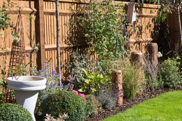 A wildlife friendly garden in a typical show home.