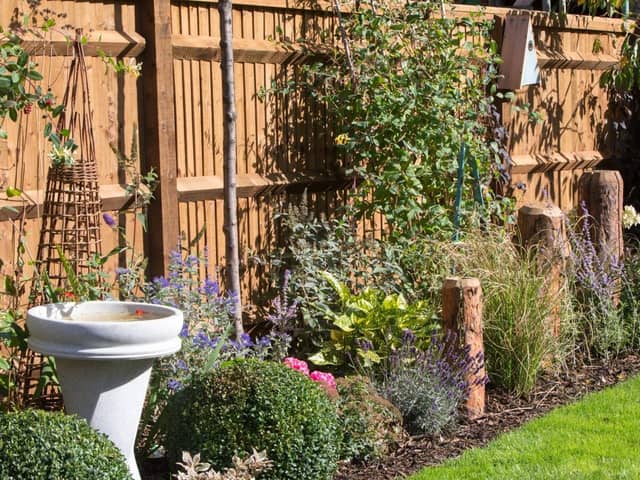 A wildlife friendly garden in a typical show home.