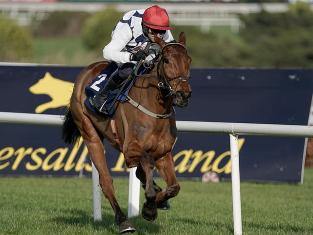 Every Cheltenham Festival, there seems to be hype surrounding an exciting novice hurdler hailed as the next champion. This year's 'beneficiary' is BALLYBURN, a 6yo winner of four of his five starts for trainer Willie Mullins and owners, potato magnate Ronnie Bartlett and football agent David Manasseh. Stepping up to Grade One company for the first time, he looked a serious tool when powering clear at the Dublin Racing Festival last month and is expected to bolt up in Wednesday's opening race, the Gallagher Novices' Hurdle (1.30).